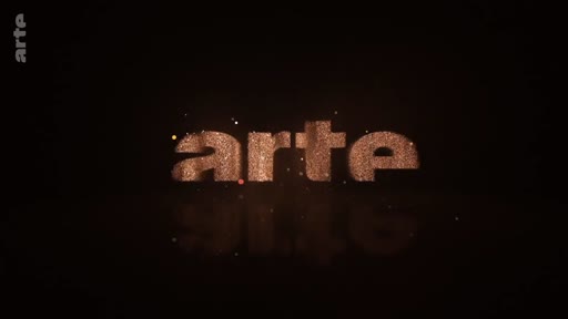 Le logo de la chaîne de télévision franco-allemande Arte affiché à l'écran, caractérisé par une typographie texturée sur un fond noir.