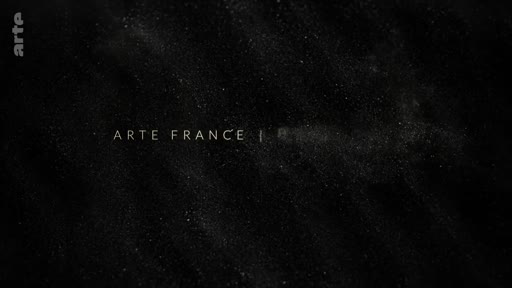 Le logo de la chaîne de télévision franco-allemande Arte France apparaît à l'écran sur un fond texturé sombre, marquant le début ou la fin d'un programme.