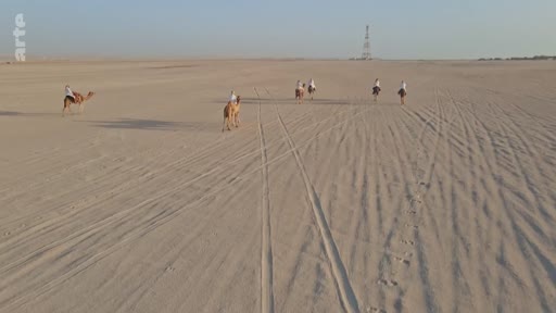 Un groupe de personnes monte des chameaux dans un paysage désertique vaste et aride, sous un ciel clair. Cette scène illustre les traditions liées à la fauconnerie et aux déplacements dans le désert.