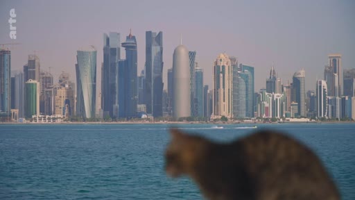 Vue panoramique de la skyline de Doha, capitale du Qatar, avec ses gratte-ciels emblématiques au bord du golfe Persique, vue depuis le front de mer avec un chat flou au premier plan.