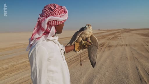 Un homme portant une ghutra et une thobe blanche tient un faucon apprivoisé sur son bras ganté dans un paysage désertique. Cette scène illustre la pratique traditionnelle de la fauconnerie dans les pays du Golfe.