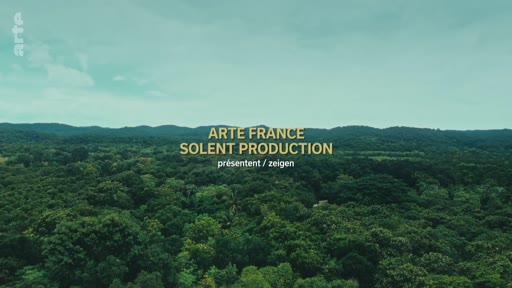Vue aérienne d'une vaste étendue forestière lors du générique de début de la production Arte France et Solent Production.