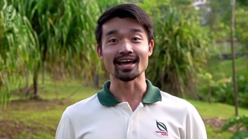 Un homme portant un polo avec le logo du National Parks Board s'exprime face caméra dans un environnement arboré, illustrant les initiatives de plantation d'arbres.