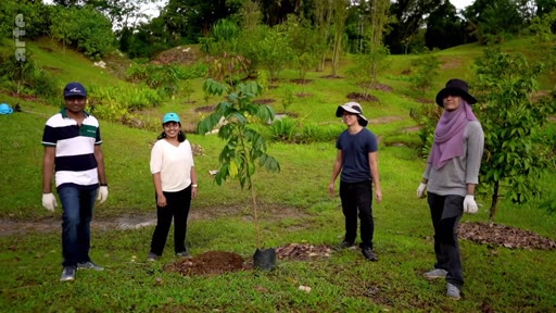 Quatre personnes, dont une femme portant un hijab, posent fièrement dans un parc après avoir planté un jeune arbre dans le cadre d'une initiative de reforestation ou de jardinage communautaire.