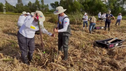 Un groupe de bénévoles, équipés de bottes et de chapeaux, effectue des travaux de plantation dans un terrain marécageux ou une zone humide. L'image illustre des initiatives de restauration écologique et de reforestation sur le terrain.