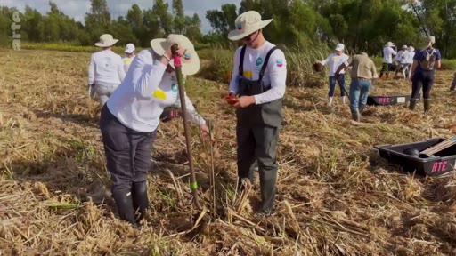 Un groupe de bénévoles, équipés de pelles et de bottes, participe à une opération de reforestation sur un terrain agricole. Cette action de plantation d'arbres s'inscrit dans une démarche environnementale visant à restaurer la biodiversité locale.