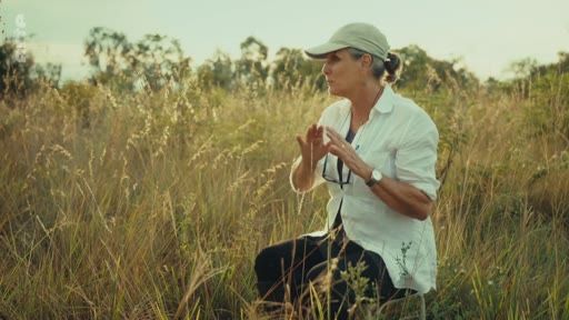 Une femme, portant une casquette et une chemise blanche, est filmée en extérieur dans un champ d'herbes hautes, illustrant un reportage sur les enjeux environnementaux et la réalité écologique.