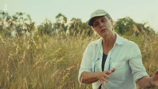 Une femme portant une casquette et une chemise blanche s'exprime en extérieur, au milieu d'un champ d'herbes hautes, illustrant un reportage sur les enjeux environnementaux.
