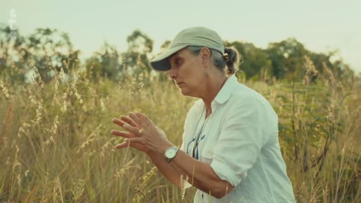 Une femme portant une casquette et une chemise blanche observe attentivement des herbes dans un champ, illustrant une étude sur le terrain liée à l'écologie ou à l'environnement.