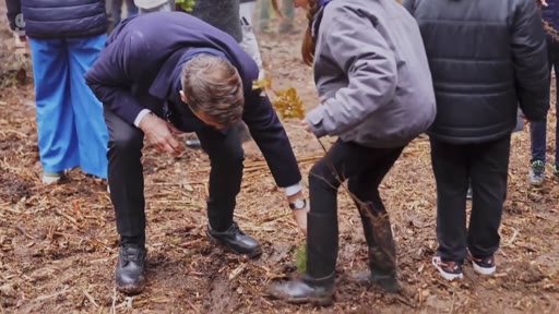 Un homme en costume et une enfant participent à une opération de reforestation en plantant un jeune plant dans un sol forestier. Cette scène illustre les initiatives de préservation de l'environnement et de sensibilisation à la nature en France.