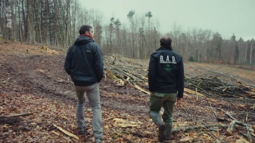 Deux hommes marchent dans une forêt où des arbres ont été abattus, illustrant les pratiques de coupe à blanc et la gestion forestière. L'un des hommes porte une veste avec l'inscription B.A.D. au dos.