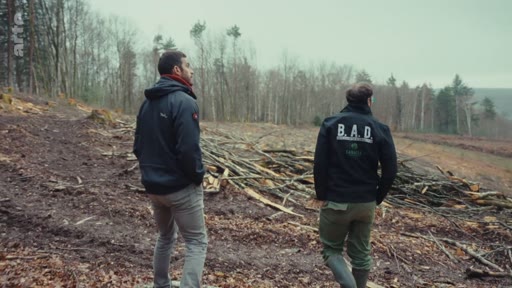 Deux hommes, dont l'un porte une veste marquée B.A.D., observent les dégâts causés par une opération de coupe rase dans une zone forestière. Cette scène illustre les enjeux environnementaux liés à la gestion forestière et à la déforestation.