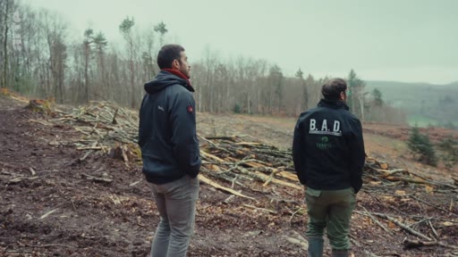 Deux hommes inspectent une zone de déforestation et de coupe rase en forêt, portant des vestes techniques. L'un d'eux porte une veste avec l'inscription B.A.D. au dos, illustrant une enquête sur les pratiques forestières.