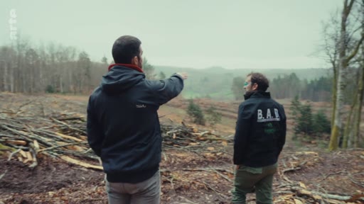 Deux hommes inspectent une parcelle forestière ayant subi une coupe rase, discutant des pratiques sylvicoles et de l'impact environnemental sur le terrain.