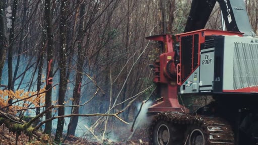 Une abatteuse forestière de modèle TF 830E effectue des travaux de coupe dans une zone boisée, illustrant les pratiques d'exploitation forestière industrielle.
