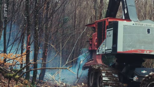 Une abatteuse forestière de type AF 830E effectue des travaux de coupe dans une zone boisée, illustrant les pratiques d'exploitation forestière industrielle et leur impact environnemental.