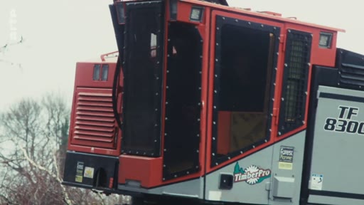 Gros plan sur la cabine blindée d'une abatteuse forestière TimberPro modèle TF 8300 utilisée pour les opérations de coupe industrielle en forêt.