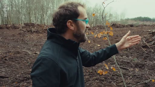 Un homme avec des lunettes bleues pointe du doigt une zone de déforestation ou de coupe rase dans une forêt, illustrant les conséquences écologiques et la critique de la monoculture.
