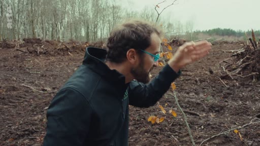 Un homme portant des lunettes observe une jeune pousse d'arbre dans une parcelle forestière déboisée, illustrant les conséquences de la monoculture et de la déforestation. Le paysage en arrière-plan montre un sol labouré et des débris végétaux, soulignant les enjeux environnementaux liés à la gestion forestière.