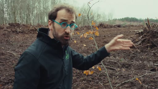 Un homme portant des lunettes et une veste noire explique les conséquences du déboisement sur une parcelle de terrain dénudée. Il pointe du doigt le paysage forestier dégradé, illustrant les critiques contre la monoculture et la gestion forestière.
