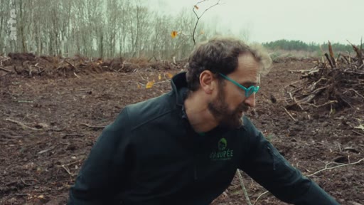 Un homme portant des lunettes et une veste sombre inspecte un sol forestier après une opération de déboisement ou de coupe rase. Cette scène illustre les conséquences écologiques de la gestion forestière et de la monoculture.