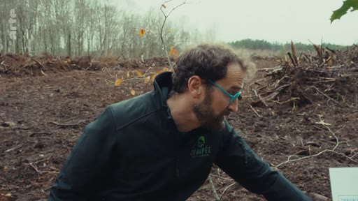 Un homme portant des lunettes à monture bleue inspecte un sol forestier après une coupe rase, illustrant les conséquences écologiques de la gestion forestière et de la monoculture.