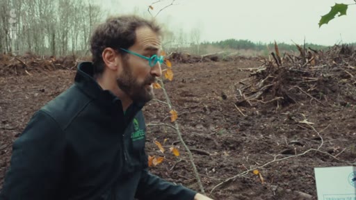 Un homme portant des lunettes et une veste technique examine une parcelle de terrain déboisée, illustrant les conséquences de la monoculture forestière et de la déforestation.