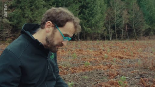 Un homme portant des lunettes à monture bleue observe le terrain dans une zone forestière, illustrant les enjeux liés à la gestion forestière et à l'opposition sociale à l'exploitation industrielle des forêts.