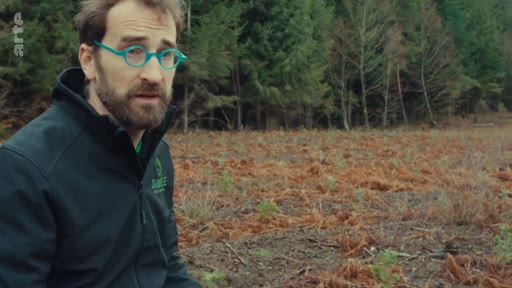 Un homme avec une barbe et des lunettes bleues est interviewé en extérieur, devant une parcelle de forêt déboisée ou en cours de replantation, dans le cadre d'un reportage sur l'opposition à la sylviculture industrielle.