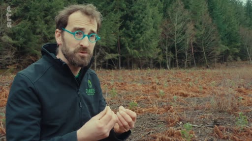 Un homme portant des lunettes et une veste avec le logo 'CANOPÉE' s'exprime lors d'une interview en extérieur, devant une parcelle de forêt déboisée. Il discute des enjeux liés à la gestion forestière et à la contestation sociale contre l'exploitation industrielle des forêts.