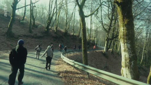 Un groupe de manifestants ou de randonneurs marche le long d'une route sinueuse dans la forêt du Bois du Chat, dans le cadre d'une mobilisation ou d'une action sur le site.