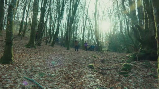 Un groupe de manifestants progresse à travers les arbres dans la forêt du Bois du Chat lors d'une action de protestation en extérieur.