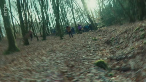 Des manifestants progressent sur un sentier forestier au Bois du Chat lors d'une mobilisation environnementale. La scène montre un groupe de personnes marchant dans les bois, illustrant la tension et la présence militante sur le site.