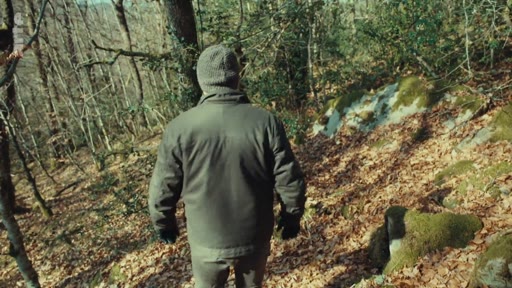 Rémi Gerbaud, expert forestier, marche sur un sentier boisé jonché de feuilles mortes lors d'une exploration en forêt.