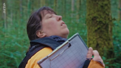 Une femme, équipée d'un sac à dos et d'un presse-papier, réalise des observations scientifiques lors d'une étude sur la régénération naturelle en forêt.