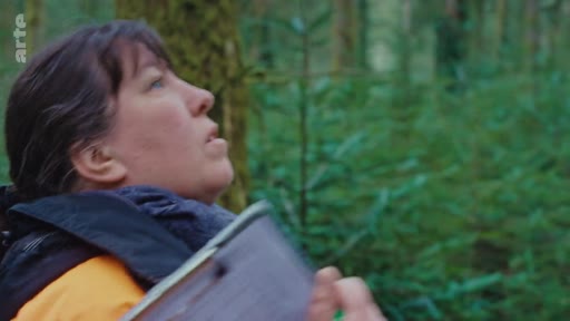 Une femme, probablement une experte ou une forestière, observe attentivement la cime des arbres dans une forêt dense, illustrant les pratiques de régénération naturelle des forêts.
