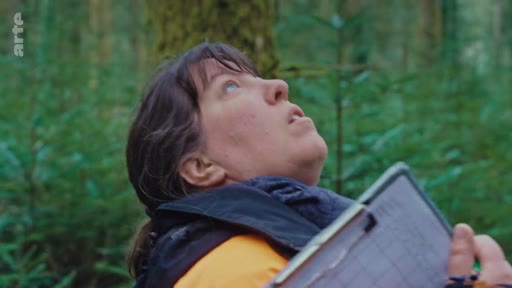 Une femme, probablement une chercheuse ou une forestière, examine la canopée d'une forêt tout en tenant un carnet de notes. Cette scène illustre le suivi de la régénération naturelle des écosystèmes forestiers.