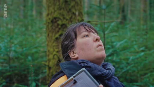 Une femme, probablement une forestière ou une scientifique, examine la canopée et l'état des arbres dans une zone de régénération forestière naturelle.