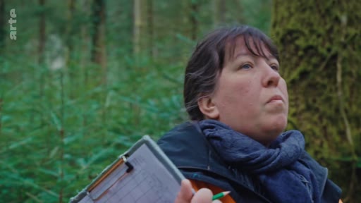 Une femme forestière, équipée d'un carnet et d'un crayon, effectue un relevé sur le terrain dans une zone de régénération naturelle en forêt. Elle observe attentivement les arbres et la végétation environnante pour évaluer l'état de la parcelle.
