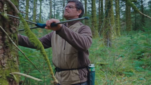 Un homme portant des lunettes et une veste technique effectue des travaux d'entretien et de taille dans une forêt dense, illustrant les pratiques de gestion forestière et de régénération naturelle.