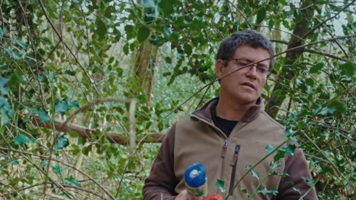 Un homme portant des lunettes et une veste sans manches observe attentivement la végétation dans une zone boisée, dans le cadre d'un reportage sur la gestion forestière et les monocultures commerciales.