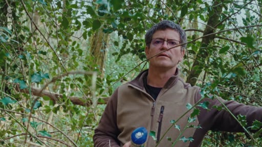 Un homme portant des lunettes et une veste polaire examine attentivement la végétation dans une zone forestière, illustrant les activités de gestion forestière.