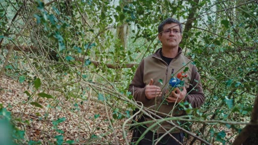 Un homme portant des lunettes et une veste polaire observe la végétation dans une zone boisée, illustrant les activités de gestion forestière.