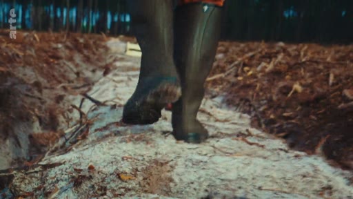 Gros plan sur les jambes et les bottes d'une personne marchant sur un sol forestier défriché, illustrant les activités de gestion forestière et d'exploitation sylvicole.