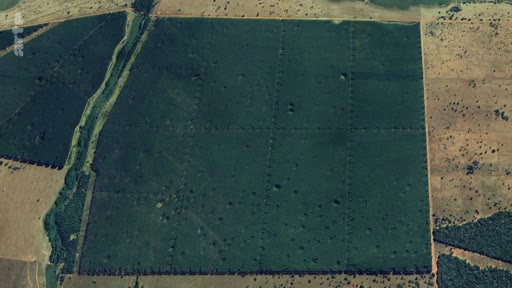 Vue aérienne montrant l'étendue d'une plantation industrielle, illustrant la déforestation et l'expansion des monocultures à grande échelle. Cette image met en évidence l'impact environnemental de l'agriculture intensive sur les paysages naturels.