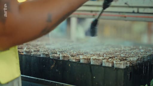 Une personne utilise un pulvérisateur pour arroser des plateaux de semis dans une pépinière industrielle, illustrant les étapes de production forestière ou agricole liées à l'industrie du papier.