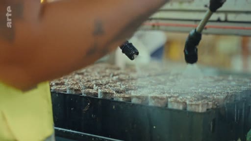 Un ouvrier portant un gilet de sécurité arrose des jeunes plants dans des godets au sein d'une pépinière, illustrant les étapes de la sylviculture et de la production de papier.