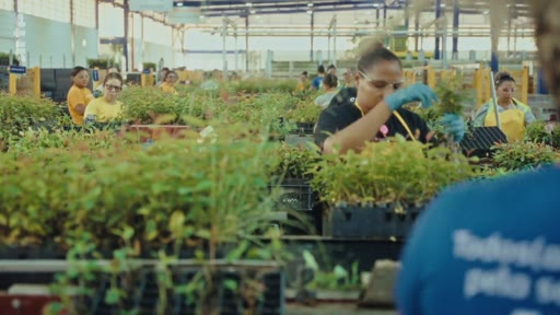 Des ouvriers en uniforme travaillent dans une grande pépinière industrielle, manipulant des jeunes plants dans des bacs. Cette scène illustre la production de masse de végétaux, potentiellement liée à l'industrie du papier ou à la reforestation.
