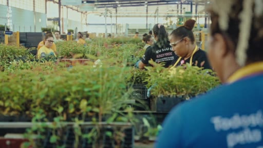 Des ouvriers en uniforme travaillent dans une grande pépinière industrielle, s'occupant de jeunes plants en pots. Cette scène illustre les processus de production forestière et la gestion durable des ressources végétales.