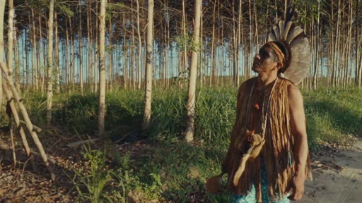 Un homme autochtone portant une coiffe et des vêtements traditionnels se tient devant une plantation de monoculture, illustrant les enjeux environnementaux et la déforestation. Cette image souligne le contraste entre les cultures indigènes et l'exploitation industrielle des terres.